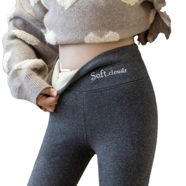 Women's Thick Fleece Lined Leggings Stretchy Thermal Winter Pants Light Grey 3Xl Women Leggings