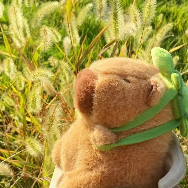 23Cm Capybara Plush Toy Cute Anime Stuffed Animal Doll Gift Plush Toys