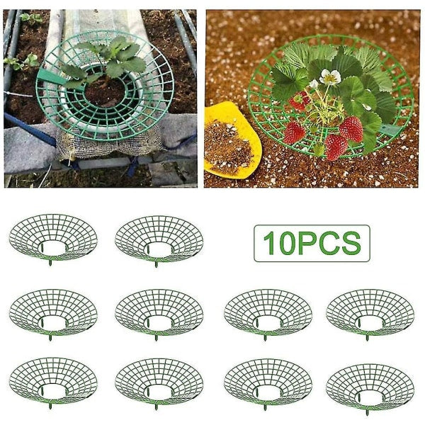 Strawberry Plant Support Cages 10 Pack Climbing Rack For Balcony Gardens Plant Ties & Supports