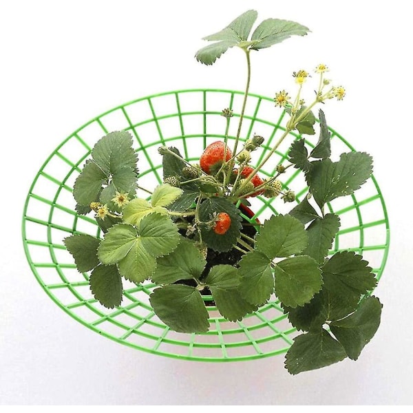 Strawberry Plant Support Cages 10 Pack Climbing Rack For Balcony Gardens Plant Ties & Supports