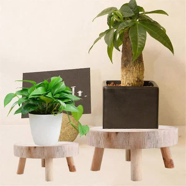 Plant Stand For Indoor And Outdoor Use Plant Stands