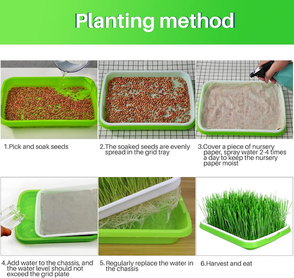 8 Pack Seed Sprouter Tray For Microgreens & Wheatgrass Bpa Free Hydroponic Growing Kits