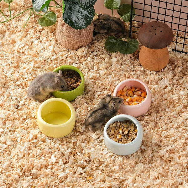 4 Pack Ceramic Hamster Food Bowls Pink Blue Yellow Green Small Animal Supplies