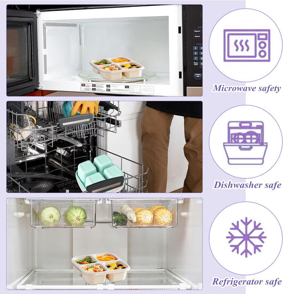Snack Boxes With Compartments For Kids And Adults 4 Bento Lunch Pack Lunchboxes