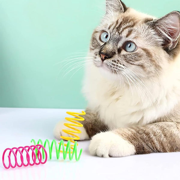 Cat Feather Toys 24 Feathers Pet Novelty Colorful For Cats Cat Toys