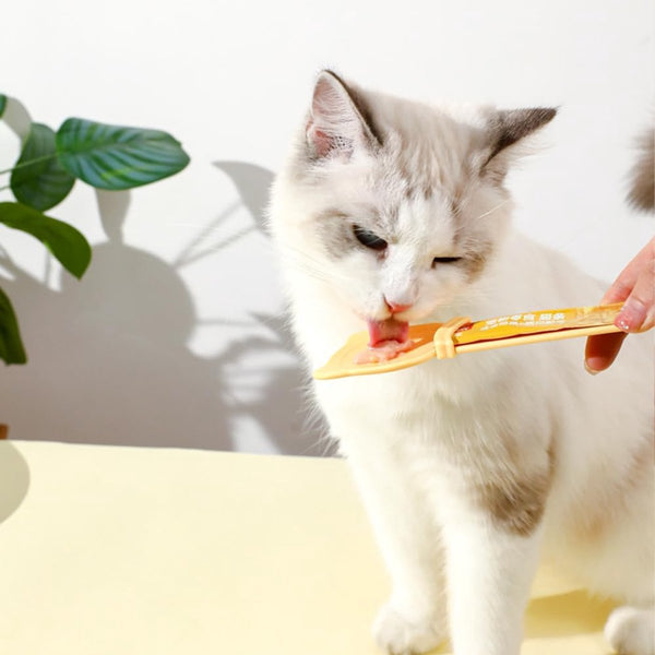 Cat Food Squeeze Spoon Wet & Treat Feeder Set Of 3 Dishes Feeders & Fountains