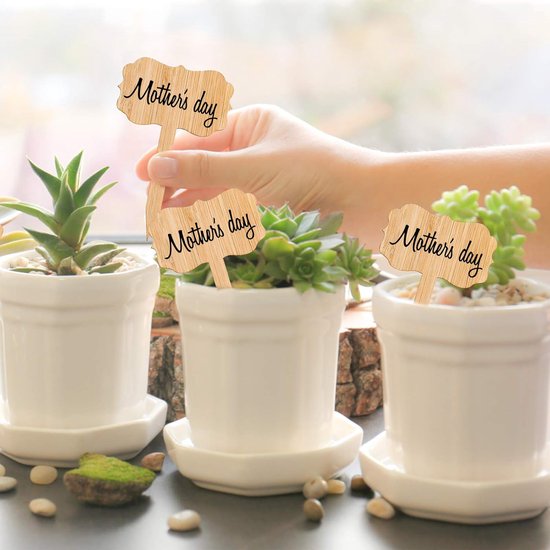 60 Eco Friendly Bamboo Garden Markers For Seeds Herbs Flowers & Vegetables Plant Labels