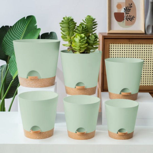 Set Of 6 Self Watering Succulent Planters Minimalist Tabletop Design Self Watering Aids