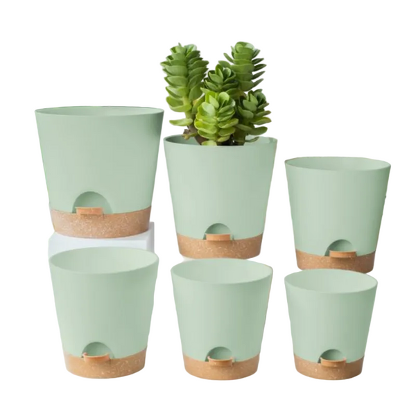 Set Of 6 Self Watering Succulent Planters Minimalist Tabletop Design Self Watering Aids