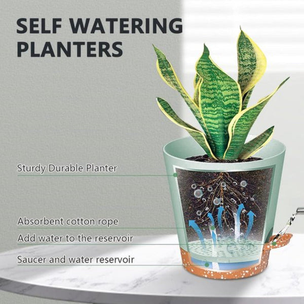 Set Of 6 Self Watering Succulent Planters Minimalist Tabletop Design Self Watering Aids