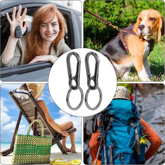 Set Of 4 Carabiner Keychains Small Metal Detachable Hooks For Keys Keyrings