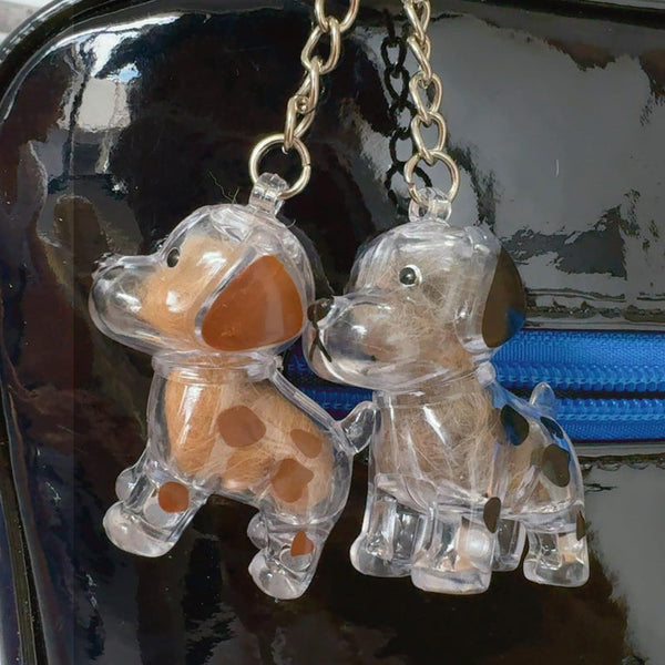 Pet Hair Memorial Keychain Capsule Pendant For Bags And Keys Pet Loss