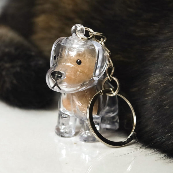 Pet Hair Memorial Keychain Capsule Pendant For Bags And Keys Pet Loss