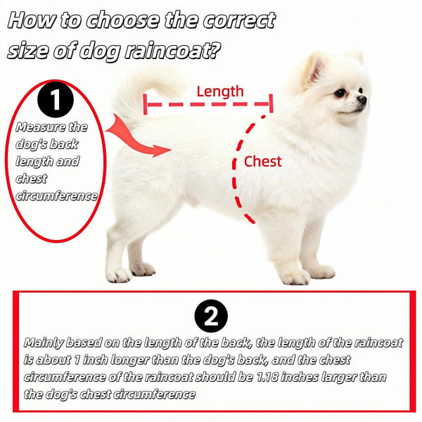 Dog Raincoat Waterproof Coat Transparent Poncho Clothing Suit Hooded Jacket Accessories Walking Supplies Outdoor Pet 1 Piece Dog Clothing & Shoes