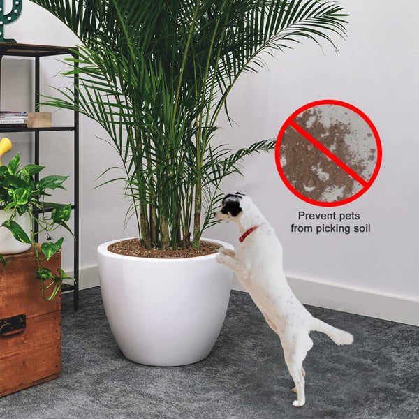 2 Piece Brown Flower Pot Grid Cat Repellent Plant Protector Plant Ties & Supports