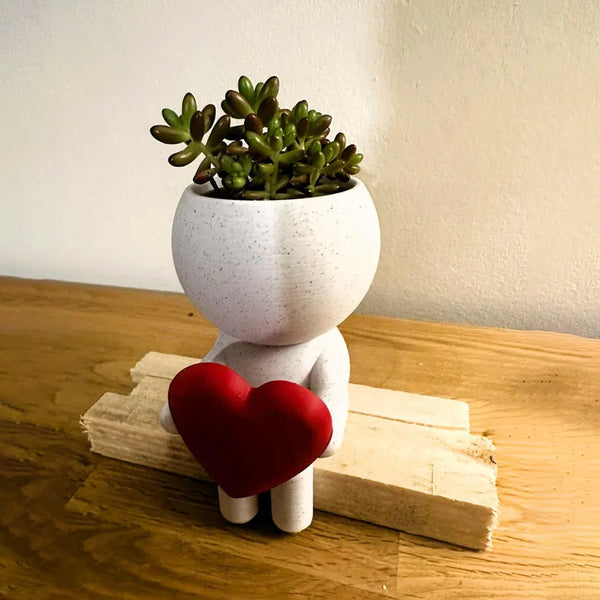 Air Plant Holder Stand 12.5 Cm Tall Desk Decor Plant Stands