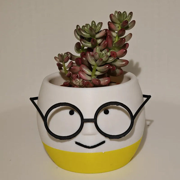 3D Printed Glass Flower Pots White & Yellow Single Piece Baskets Pots Window Boxes