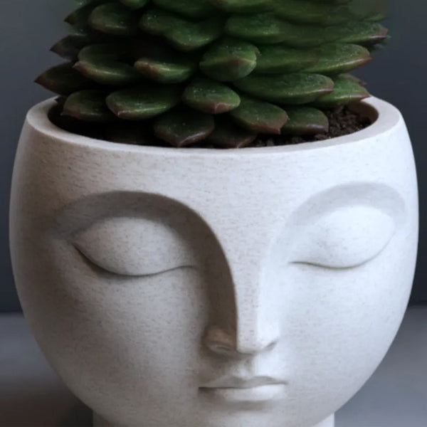 A 3D Printed Serene Flowerpot An Eye Catching Decorative Piece For Modern Interior Spaces. Suitable Planting Small Plants Or Succulents. Baskets Pots
