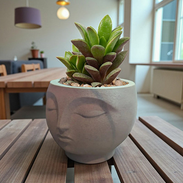 A 3D Printed Serene Flowerpot An Eye Catching Decorative Piece For Modern Interior Spaces. Suitable Planting Small Plants Or Succulents. Baskets Pots