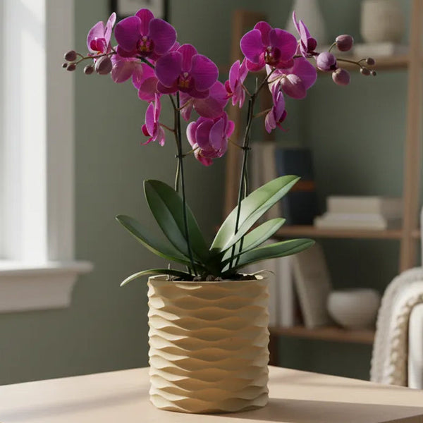 3D Printed Modern Wave Flower Pot Water Storing Rotating Base Flesh Color Single Piece Planters & Vases