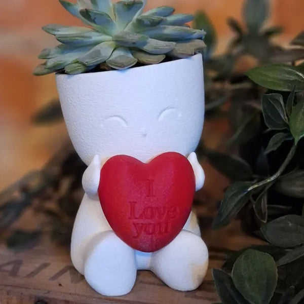 Valentine's Day Mini Flower Pot Heart Shaped Succulent (White And Red) Baskets Pots Window Boxes