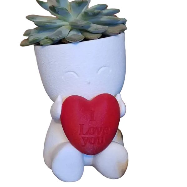 Valentine's Day Mini Flower Pot Heart Shaped Succulent (White And Red) Baskets Pots Window Boxes