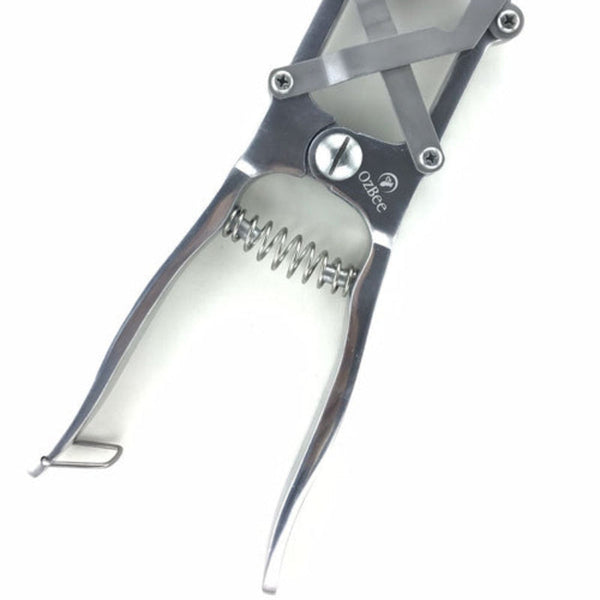 Cattle Lamb Sheep Stainless Steel Elastrator Castrating Plier With 100 Rubber Pliers