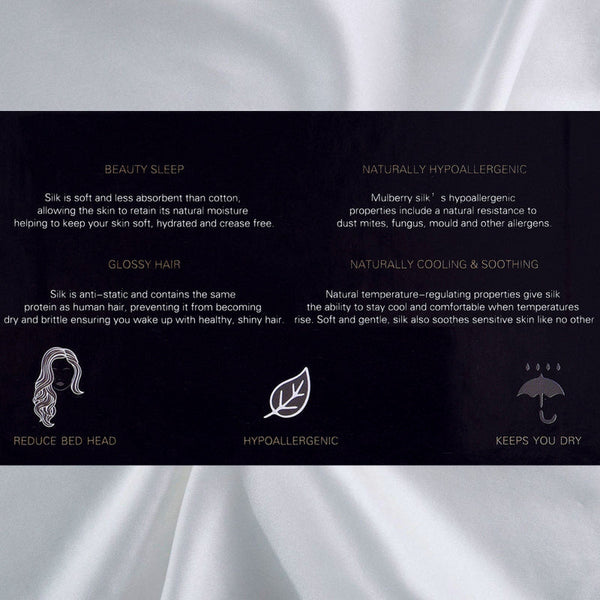 Royal Comfort Pure Silk Pillow Case 100% Mulberry Hypoallergenic Pillowcase Silver Pillow Cases