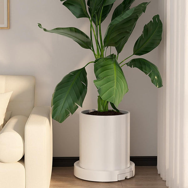 Carla Home Rolling Plant Stand With 360A Wheels For Indoor Pots (26 Cm) Plant Stands