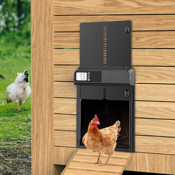 Carla Home Automatic Chicken Coop Door With Timer And Lcd Screen Anti Pinch Safety Easy Battery Operation Weatherproof For Outdoor Coops Small Animal