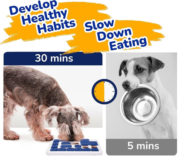 Carla Home Interactive Dog Puzzle Toy Slow Feeder Treat Dispenser For Dogs & Cats Dog Toys