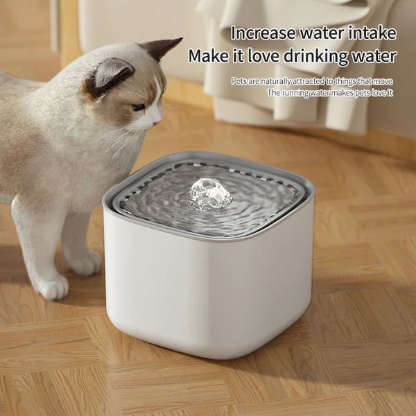 3L Cat Water Fountain Large Filter Usb Dishes Feeders & Fountains