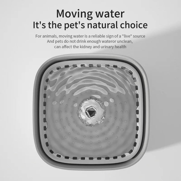 3L Cat Water Fountain Large Filter Usb Dishes Feeders & Fountains