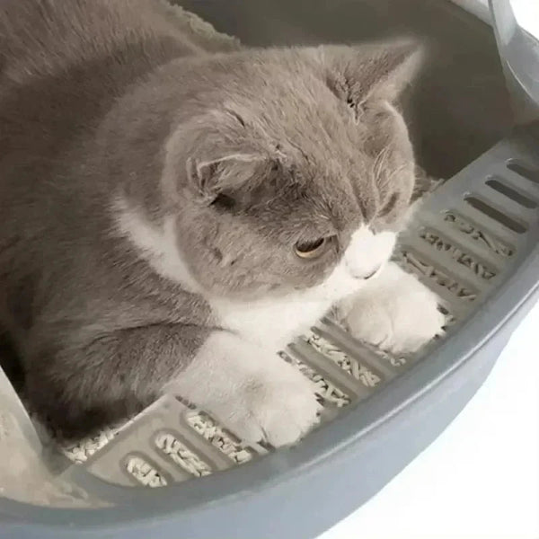 High Side Box With Scoop Cat Litter