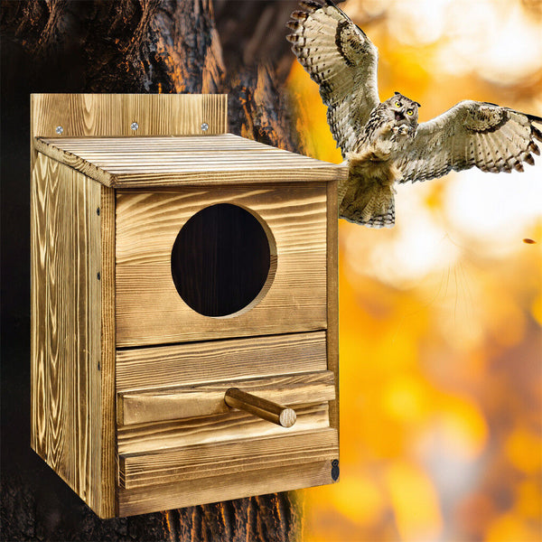 Owl Nesting Box Bird Feeder Paulownia Wood Acrylic Feeders