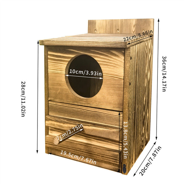 Owl Nesting Box Bird Feeder Paulownia Wood Acrylic Feeders