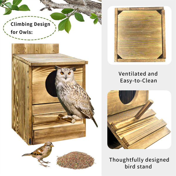 Owl Nesting Box Bird Feeder Paulownia Wood Acrylic Feeders