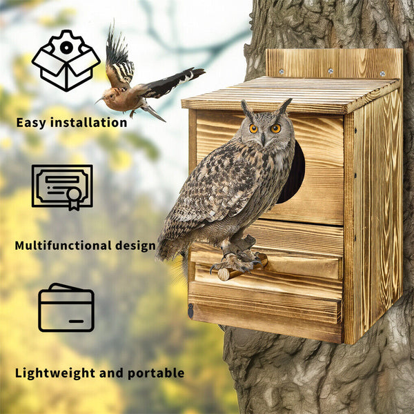 Owl Nesting Box Bird Feeder Paulownia Wood Acrylic Feeders