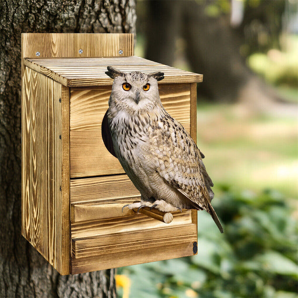 Owl Nesting Box Bird Feeder Paulownia Wood Acrylic Feeders