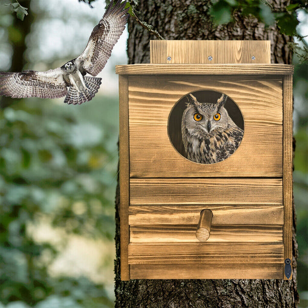 Owl Nesting Box Bird Feeder Paulownia Wood Acrylic Feeders