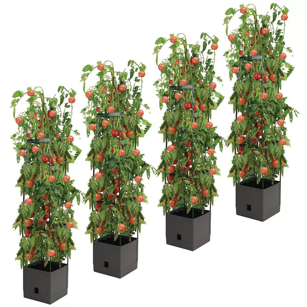 Tomato Tower With 3 Tier Frame 4 X Pack Plant Ties & Supports