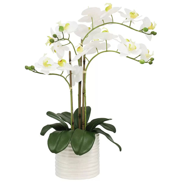 Artificial Orchid With Ribbed Pot 67Cm Artificial Plants