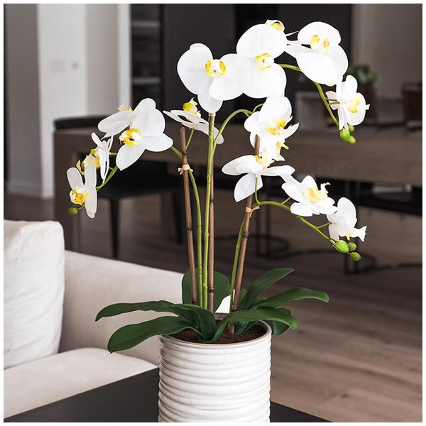Artificial Orchid With Ribbed Pot 67Cm Artificial Plants