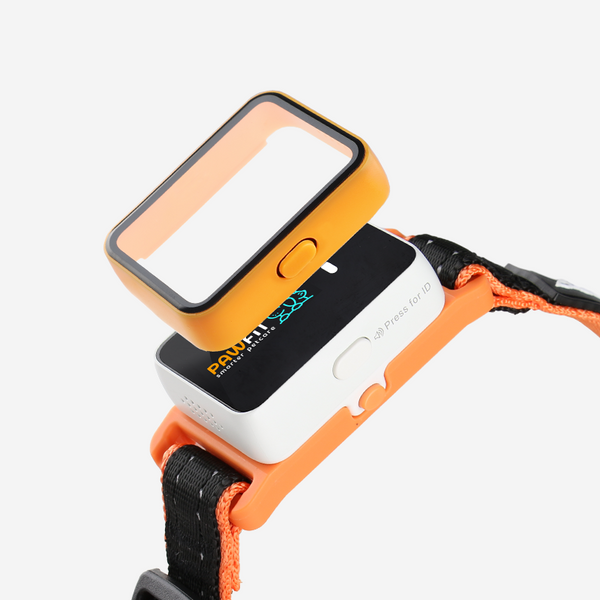 Pawfit 3 Case Orange Gps