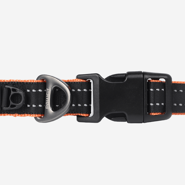 Pawfit 3 Collar Large Dog Collars