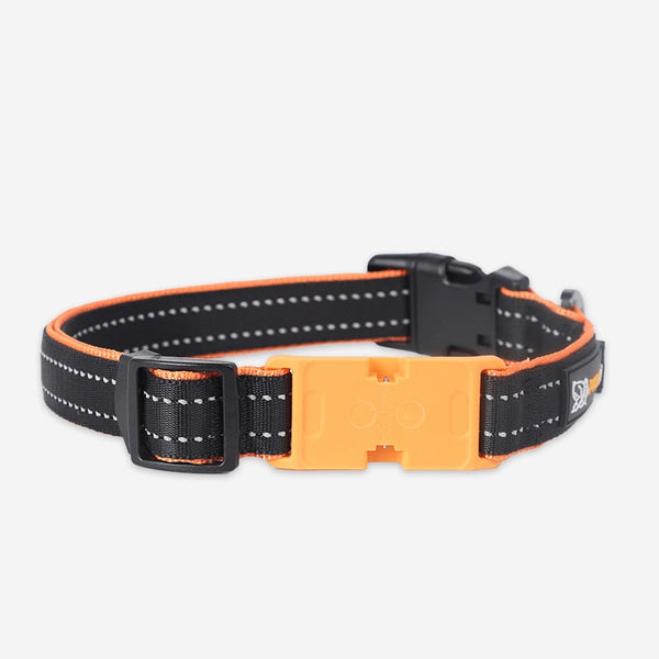Pawfit 3 Collar Large Dog Collars