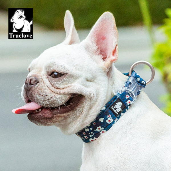 Floral Collar Saxony Blue 3Xl Dog Collars