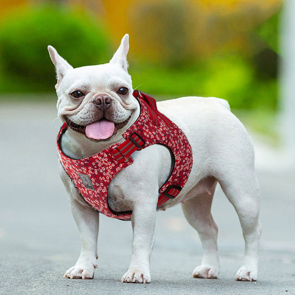 Floral Doggy Harness Red Xs Harnesses