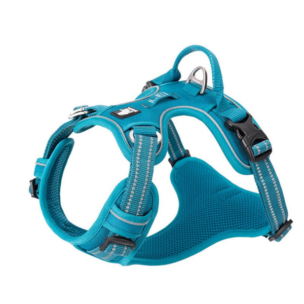 No Pull Harness Blue L Harnesses