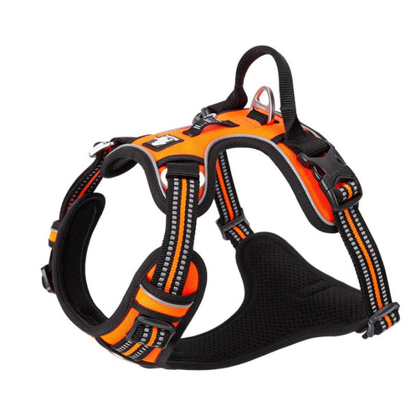 No Pull Harness Orange L Harnesses